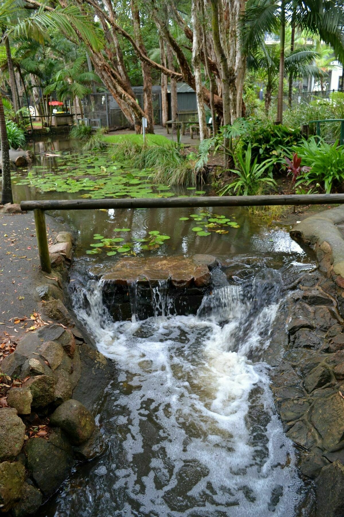 Flynns Beach Resort พอร์ตแมคควอรี ภายนอก รูปภาพ